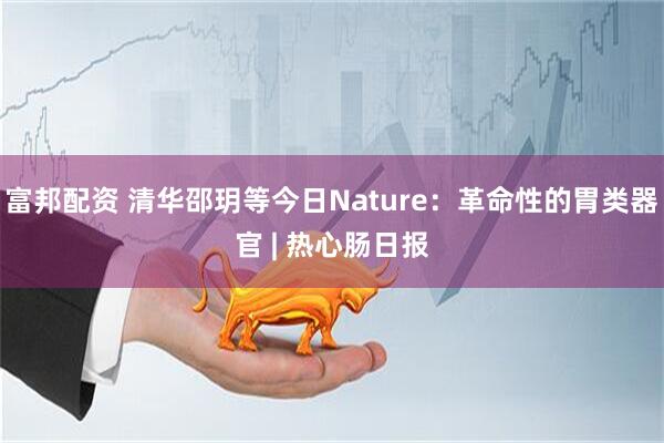 富邦配资 清华邵玥等今日Nature：革命性的胃类器官 | 热心肠日报