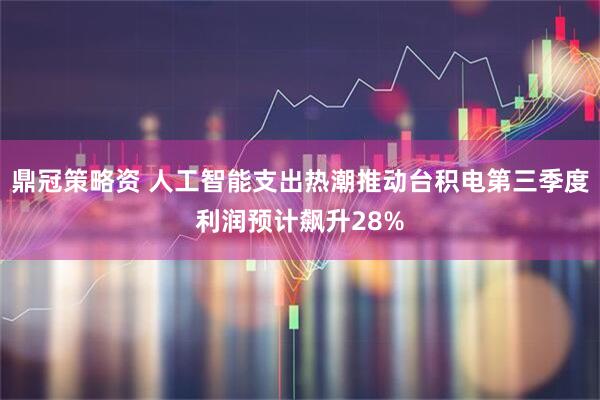 鼎冠策略资 人工智能支出热潮推动台积电第三季度利润预计飙升28%